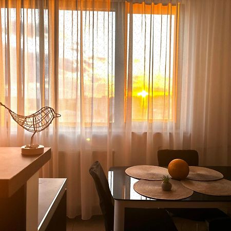Taste Of Iasi - Two Room Apartment - Central - Sunset Touch Exteriör bild